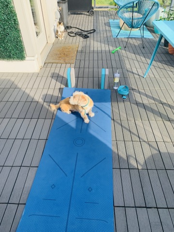 nXc3HUn7Qpe3zci9HfgZkQ_mini_81a9